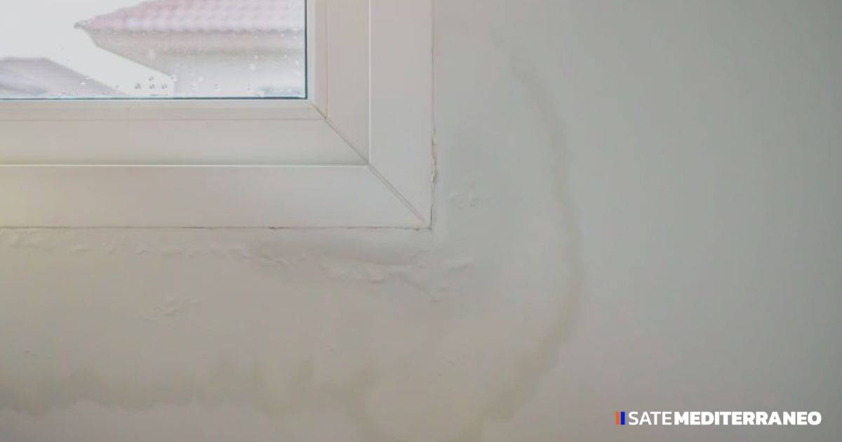Condensación en paredes: claves para evitarla y eliminarla completamente